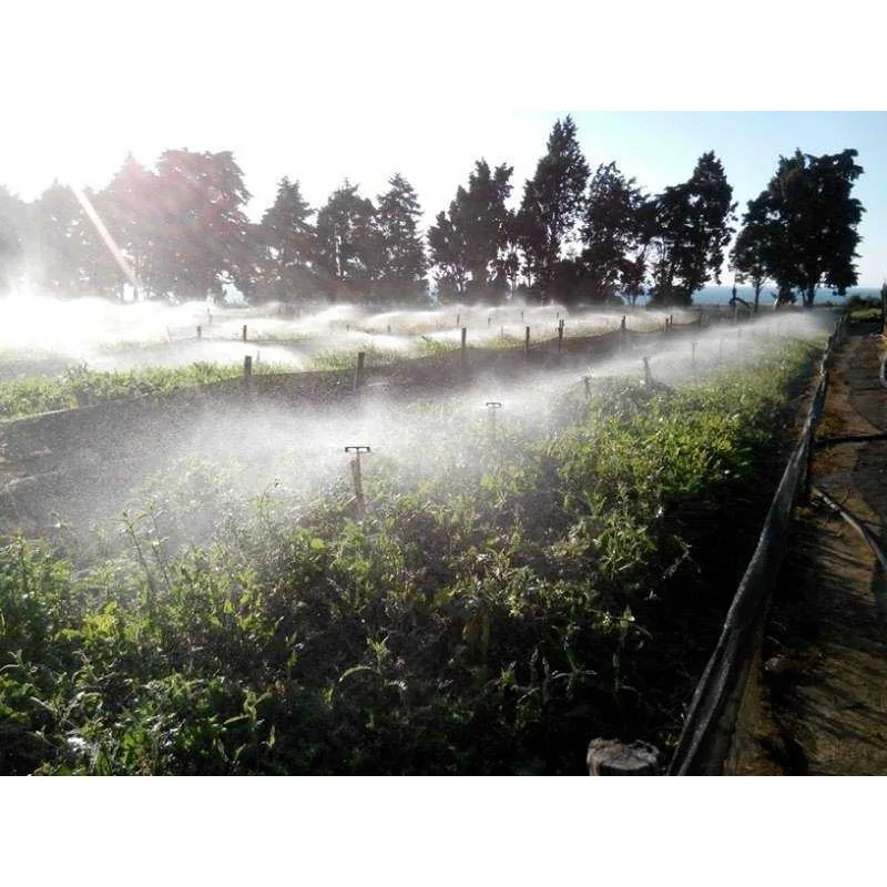 esempio di applicazione Irrigatore a farfalla Bianca con filetto irrigazione per aspersione irrifarma.it