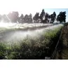 esempio di applicazione Irrigatore a farfalla Bianca con filetto irrigazione per aspersione irrifarma.it