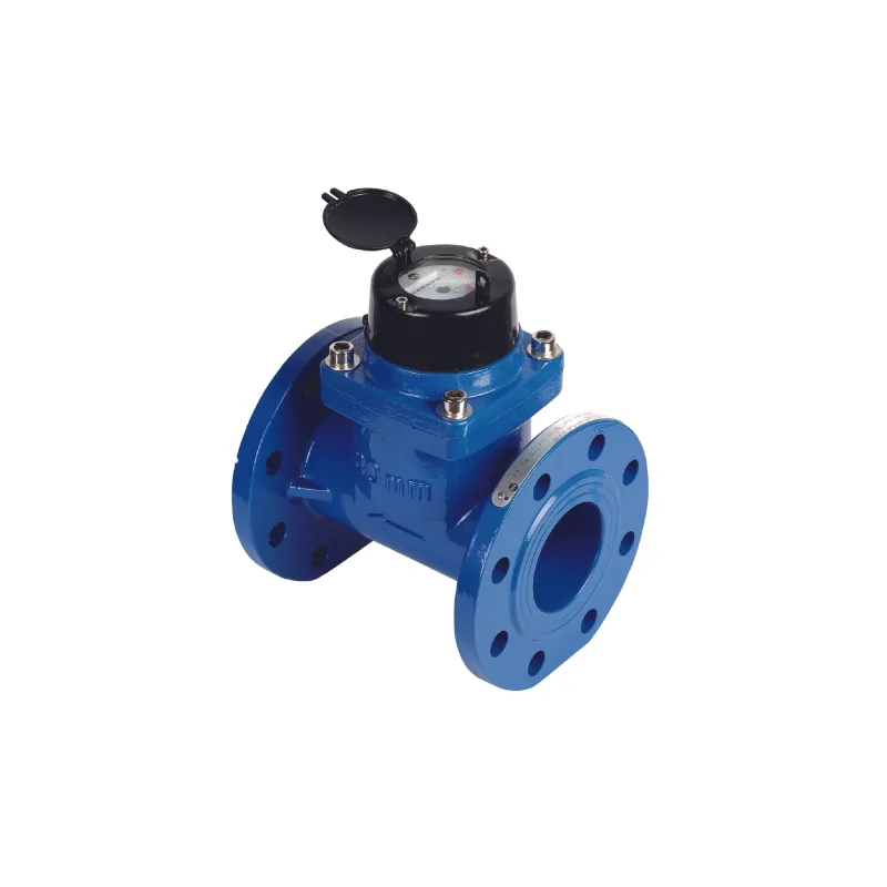 Contatore acqua flangiato Maddalena WT DN125 5" per pozzi irrifarma.it