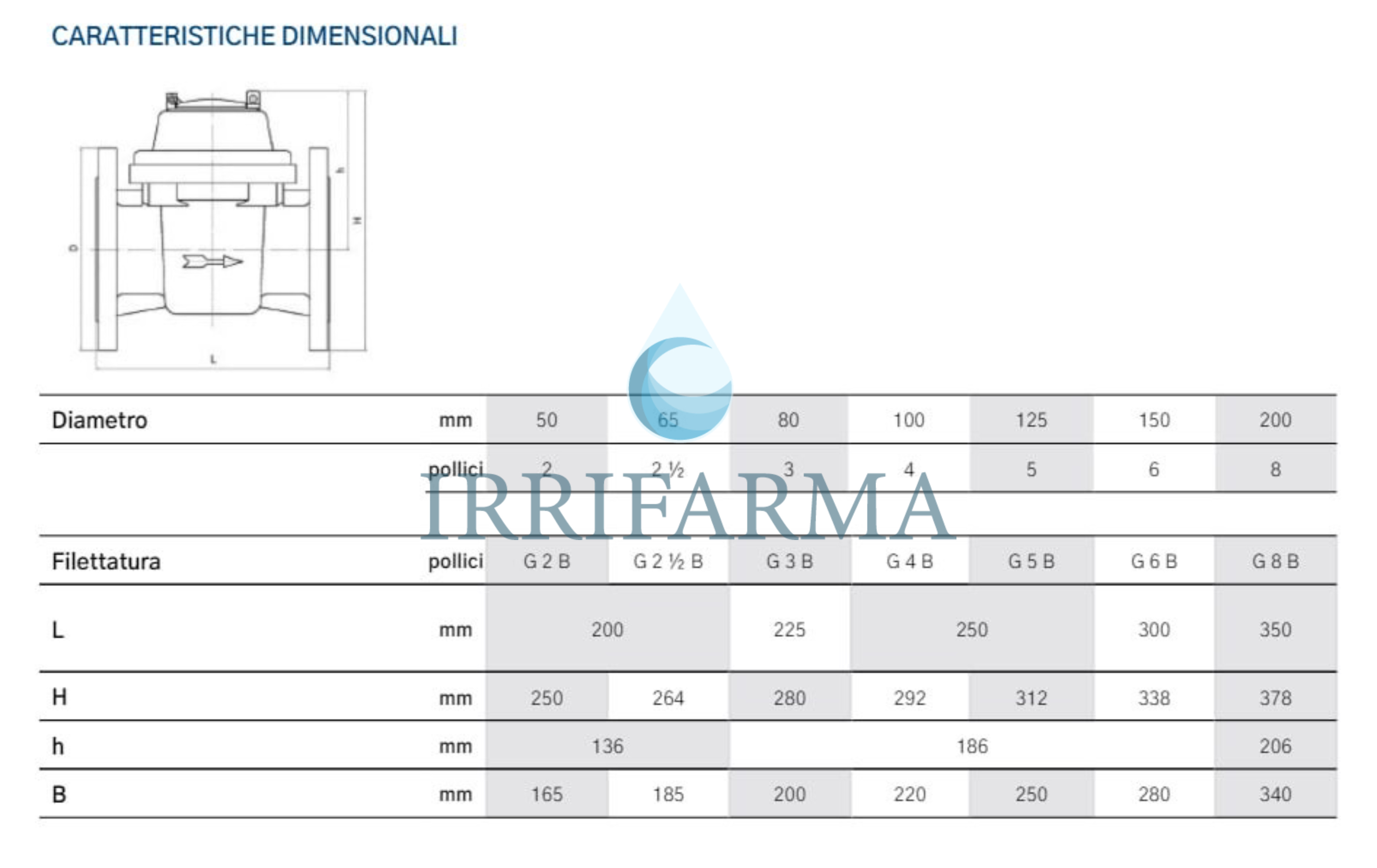 Dimensioni Contatore acqua flangiato Maddalena WT DN125 5 pollici per pozzi